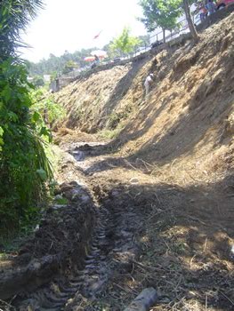 Junta de Freguesia promove limpeza de caminhos da freguesia