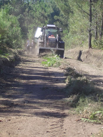 Caminhos florestais alargados e rectificados