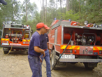 Chamas devastaram monte em Martim