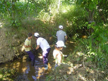 Jovens de Martim limparam Rio Labriosque