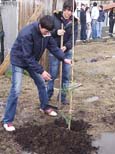 Alunos da ACIB plantaram árvores em Martim