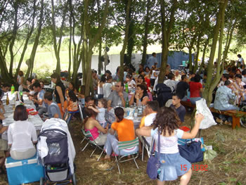 Dia de Martim promete muita animação