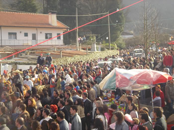 Mais de 15 mil pessoas não perderam Carnaval de Martim