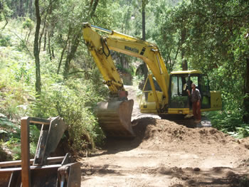Caminhos florestais melhorados