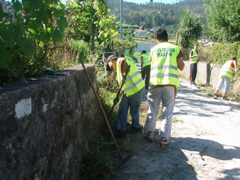 Jovens limpam caminhos públicos