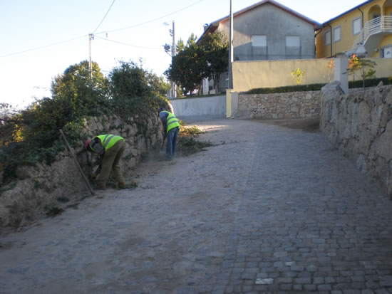 Limpeza de caminhos prossegue na freguesia
