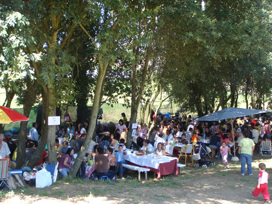 Dia de Martim foi o melhor de sempre