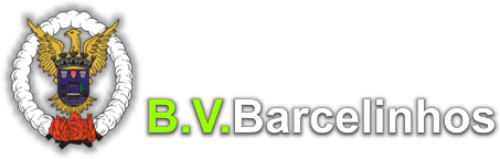 Foram muitos os martinenses que ajudaram a Associação Humanitária de Bombeiros Voluntários de Barcel