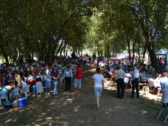 Dia de Martim “é uma das festas mais bonitas do concelho”