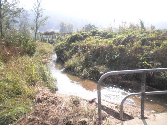 Leito do Rio Labriosque está a ser limpo