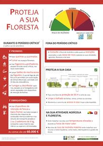 A partir de 1 de julho inicia-se o período crítico de incêndios florestais