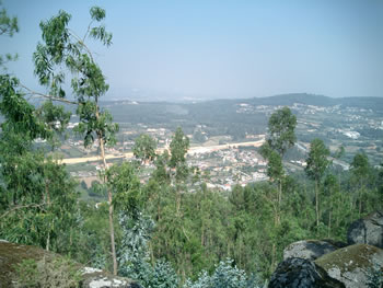 <!--V:gallery_title-->