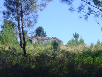 <!--V:gallery_title-->
