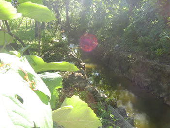 <!--V:gallery_title-->