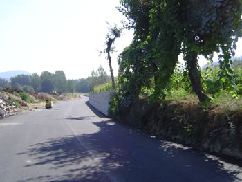 <!--V:gallery_title-->