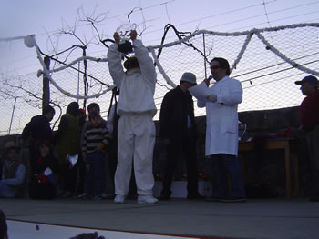 <!--V:gallery_title-->