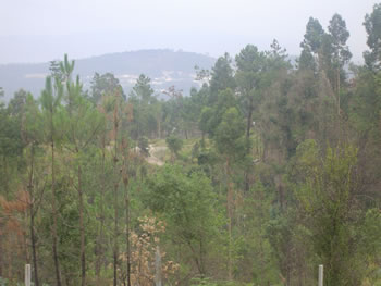 <!--V:gallery_title-->