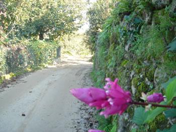 <!--V:gallery_title-->