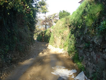 <!--V:gallery_title-->