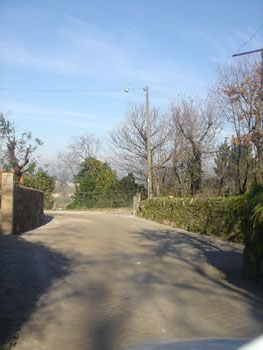<!--V:gallery_title-->