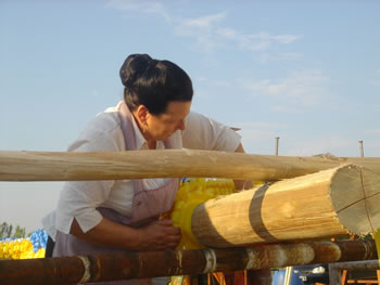 <!--V:gallery_title-->