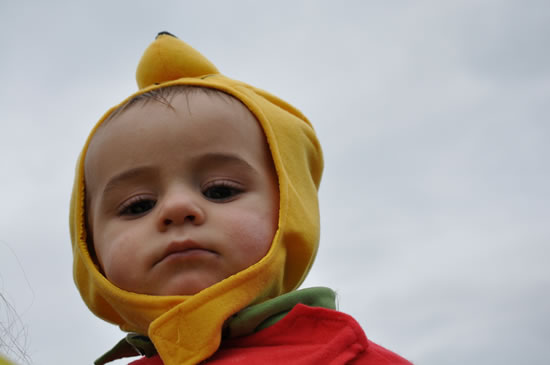 <!--V:gallery_title-->