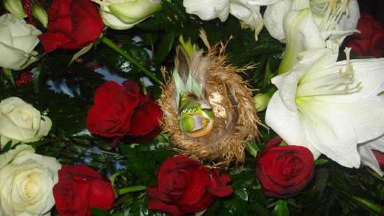 <!--V:gallery_title-->